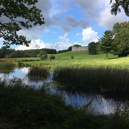 Curraghchase Cottage Kilcornan Εξωτερικό φωτογραφία