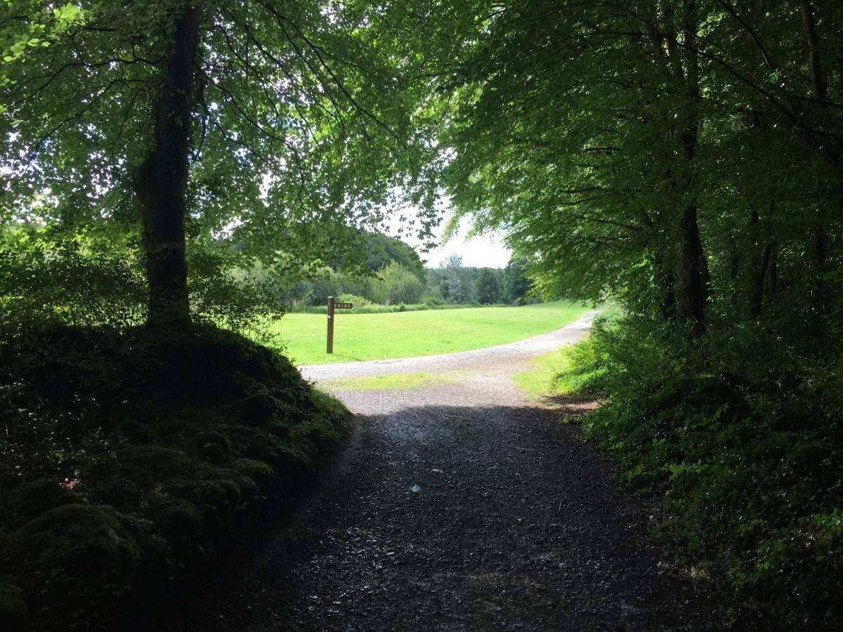 Curraghchase Cottage Kilcornan Εξωτερικό φωτογραφία